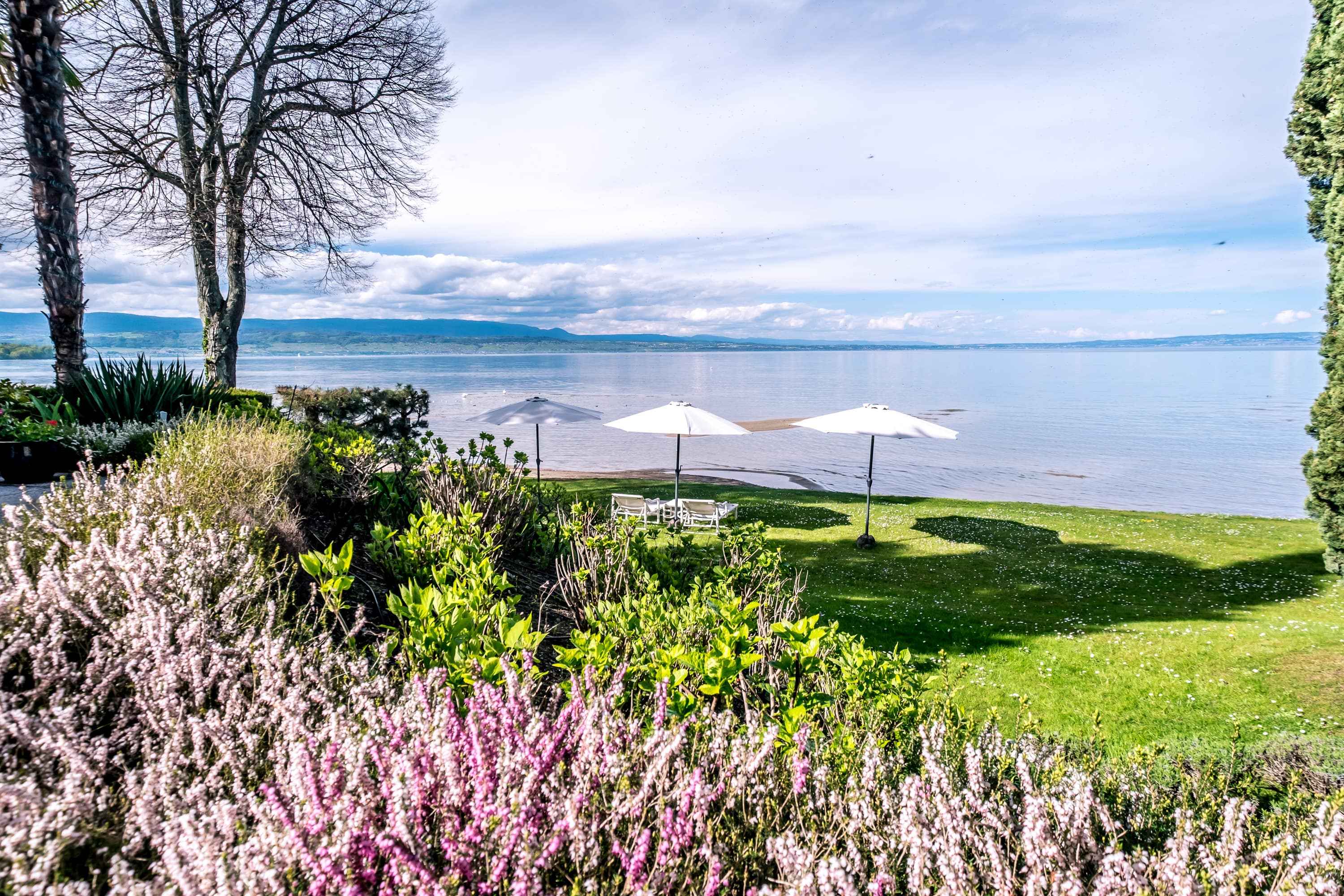 Agence immobiliere Lac Léman : BARNES, 2 agences immobilières de luxe ...